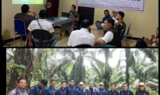 Klarifikasi JD Karya Mandiri dan PT Agrinas Palma Nusantara Bantah Tuduhan Soal Pengelolaan Lahan Eks PT Tunggal Perkasa Plantation