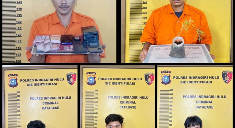 foto slider headline